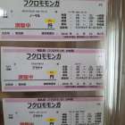 フクロモモンガの女の子販売準備中